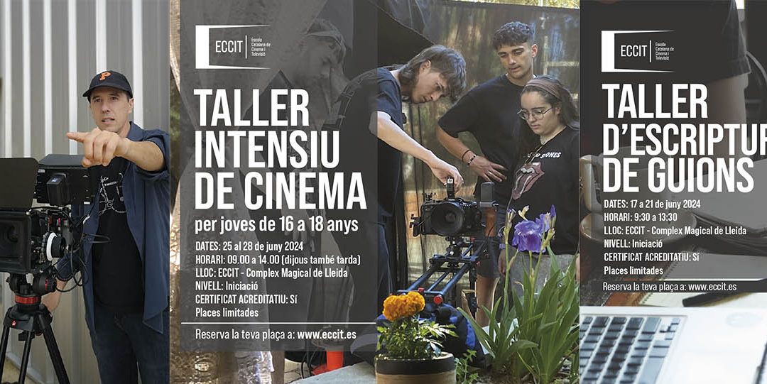 Nous tallers intensius